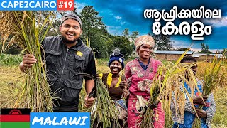 EP19 🇲🇼കുടംപുളി മുതൽ കരിമീൻ വരെ  ആഫ്രിക്കയിലെ കേരളം  MALAWI  CAPE 2 CAIRO [upl. by Sevart]