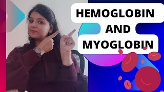 Hemoglobin and Myoglobin protein functioning neet csirnet bsc hemoglobin myoglobin [upl. by Ylellan974]