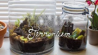 Make a Closed Tropical Terrarium  How To Terrarium ep2 [upl. by Garrity]