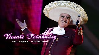 Vicente Fernández Mix 2024  Lo Mejor de Vicente  Álbum Popular03 [upl. by Fitting]