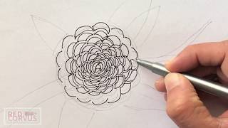 Easy Sketching Camellia Flower [upl. by Melisse]