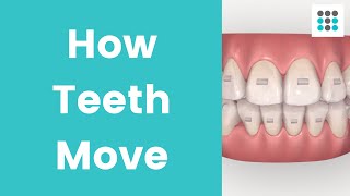 HOW TEETH MOVE WITH ALIGNERS amp BRACES l Dr Melissa Bailey Orthodontist [upl. by Ahsielat]