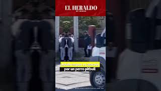 Adulto mayor sufre lesiones en ambas manos por ataque de un perro Pitbull en Ciudad Juárez [upl. by Lazes]