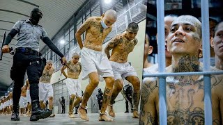 Inside the World’s Deadliest Prison  CECOT  El Salvador 🇸🇻 [upl. by Ycniuqed509]