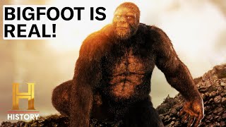 4 SHOCKING BIGFOOT SIGHTINGS  The Proof is Out There [upl. by Jaworski]