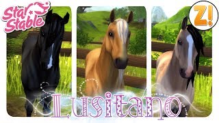 Star Stable SSO 3 neue Lusitanos PFERDEKAUF DEUTSCH [upl. by Mariejeanne]