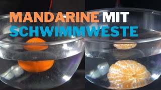 Mandarine mit Schwimmweste – schwimmen und sinken Experiment 5 [upl. by Kara-Lynn]