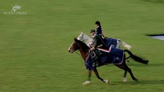 Championnat de France du cheval de chasse 2024 [upl. by Elahcim]