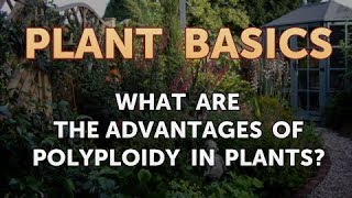 What Are the Advantages of Polyploidy in Plants [upl. by Eva373]