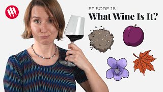 Learn by Tasting ep 15 Wine Folly [upl. by Daffy]