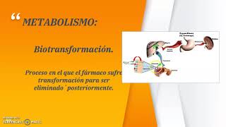 Proceso de distribución metabolismo y excrecion de fármacos [upl. by Morette]