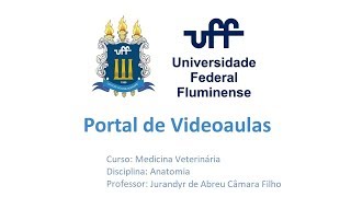 ANATOMIA VETERINÁRIA I 15 Anatomia do tarso dos carnívoros equinos e ruminantes [upl. by Kahl]