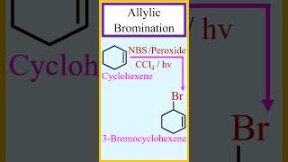 Allylic bromination by WohlZiegler reaction chemistry [upl. by Metzgar]