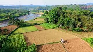 Proyecto de Agricultura Ecológica  Entrega eje 3 Desarrollo sostenible [upl. by Tierell718]