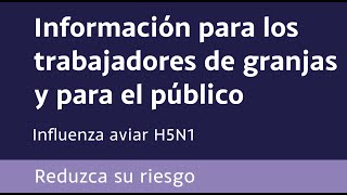 H5N1 cómo reducir su riesgo [upl. by Otxis]