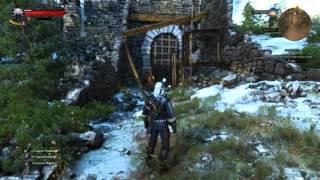 Witcher 3 Combat Tutorial Wraiths [upl. by Sarat]