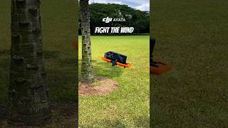 Fight the WIND  DJI Neos Father DJI Avata shorts drone djiavata dji [upl. by Good508]