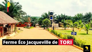 Ferme Jacqueville de TORI  Visiter le Bénin [upl. by Ilera226]