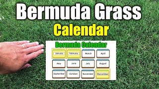 Bermuda Grass Calendar Please See New Calendar in Description [upl. by Marshal]