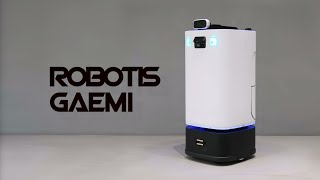 ROBOTIS GAEMI  Indoor Service Robot  로보티즈 개미 [upl. by Flynn]