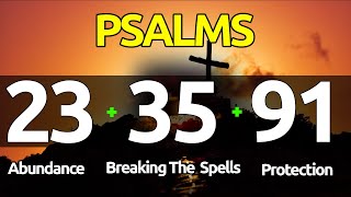 Psalms 233591 THE ESSENTIAL PSALMS FOR ABUNDANCE BREAKING SPELLS AND PROTECTION [upl. by Chavez456]