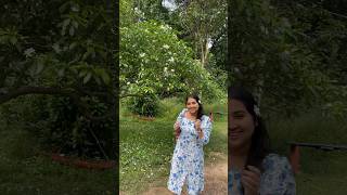 mccluskieganj jharkhand jharkhandtourism india incredibleindia tour travel ytshorts shorts [upl. by Rhodes775]