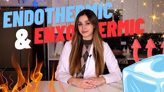 Endothermic and Exothermic Reactions  CHEM WITH WREN  Science Experiment [upl. by Aihcsrop]