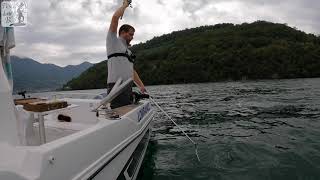 Pesca al Coregone mangiata in diretta  Lago Iseo 1080 HD [upl. by Tedric162]