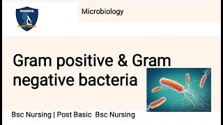 Gram positive and Gram negative bacteria examples in microbiology2 marksBsc Nursing [upl. by Piotr]