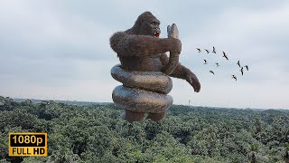 King Kong vs Big Snake Epic Fight [upl. by Narod]