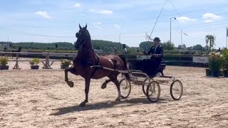 Ilardo by Eebert amp Harrie Schuit driving Grote limiet class at CK Houten [upl. by Anoerb]