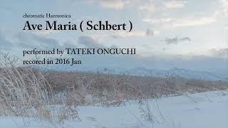 Ave Maria  Schbert [upl. by Ardnikat]