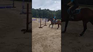 I cannot ride this horse correctly 😭 horse eventing fyp [upl. by Ylelhsa470]