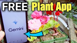 How to Use Google Gemini AI as Your Free Personal Plant Expert [upl. by Hteazile]