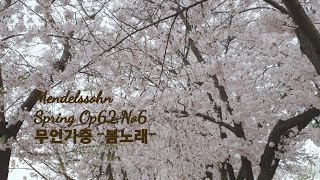 Fruhlingslied봄의노래Mendelssohn Spring songOp62No6무언가 중 quot봄의노래quot이열정플릇 연주곡클래식 [upl. by Freddie]