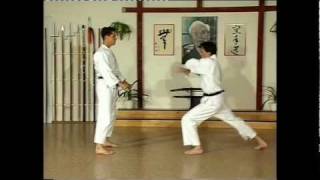 Taikyoku nidan amp Kihon ippon kumite [upl. by Eniluqaj]