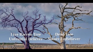 The Unfruitful Believer and Sinner are alike [upl. by Nagn]