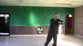 ninjuwusu tai chi forms 16 official master course [upl. by Tullius]