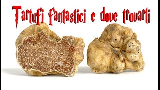 Tartufi fantastici e dove trovarli Guida per principianti [upl. by Taryn]