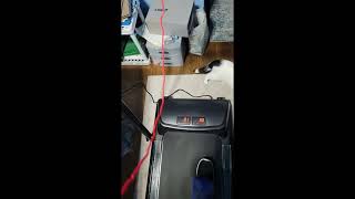 Review FYC Under Desk Treadmill 2in1 Folding Treadmill for Home Exercise Treadmill Workout Electri [upl. by Charlean]