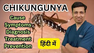 Chikungunya बुखार के लक्षण। Chinkungunya fever symptoms diagnosis treatment amp prevention [upl. by Yenahteb207]