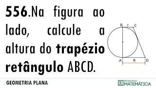 C14 TRIÂNGULOS RETÂNGULOS 556 [upl. by Nihcas]