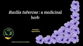 Ruellia tuberosa a medicinal plant of Odisha [upl. by Einhapets]