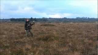 Falconry Snipe hawking in Ireland [upl. by Nonnaehr]