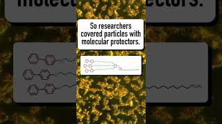 Molecular Protectors Improve Liquid CrystalNanoparticle Blends shorts [upl. by Glynias]