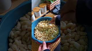 Kacang goreng bawang putih rangup dan sedap [upl. by Riba57]