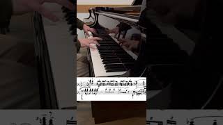 S Rachmaninoff Piano Sonata №2 I mvt excerpt [upl. by Aviva]