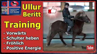 Pferdetraining Ullur Beritt Tipps aus Unterricht Islandpferd Isländer Tölt Tanja Schienagel [upl. by Ydnat52]