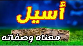 معنى اسم اسيل و صفات حاملة هذا الإسم [upl. by Brathwaite]