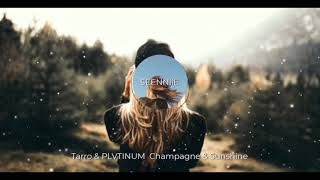 plvtinum champagne amp sunshine slowed down  sped uppichreverb Remix by me TikTok Song [upl. by Ikkim]